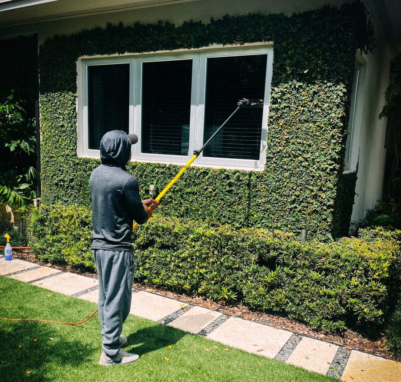 Ver fotos recientes (1)